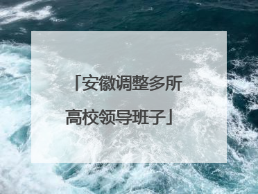 安徽调整多所高校领导班子