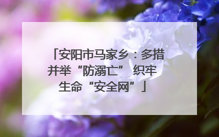 安阳市马家乡：多措并举“防溺亡” 织牢生命“安全网”