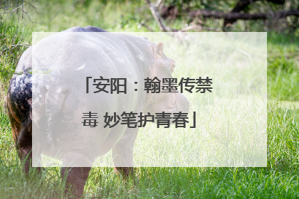 安阳：翰墨传禁毒 妙笔护青春