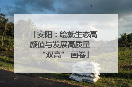 安阳：绘就生态高颜值与发展高质量 “双高” 画卷