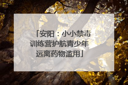 安阳：小小禁毒训练营护航青少年远离药物滥用