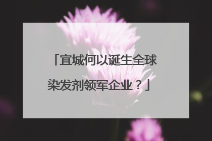 宜城何以诞生全球染发剂领军企业？