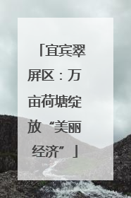 宜宾翠屏区：万亩荷塘绽放“美丽经济”