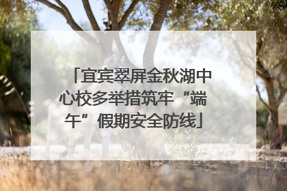 宜宾翠屏金秋湖中心校多举措筑牢“端午”假期安全防线