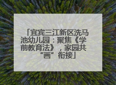 宜宾三江新区洗马池幼儿园：聚焦《学前教育法》，家园共“画”衔接