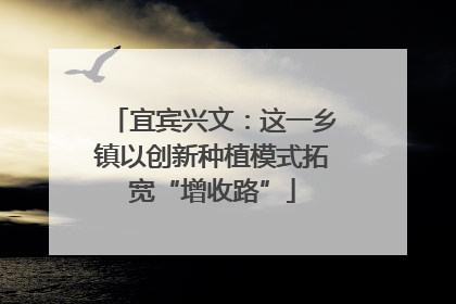 宜宾兴文：这一乡镇以创新种植模式拓宽“增收路”