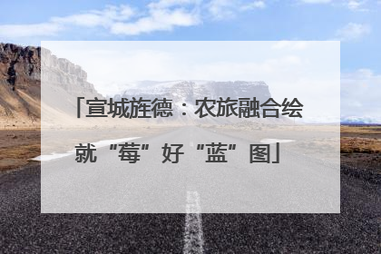 宣城旌德：农旅融合绘就“莓”好“蓝”图