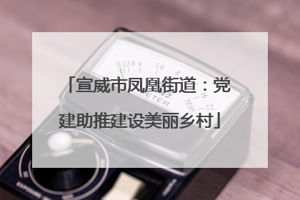 宣威市凤凰街道：党建助推建设美丽乡村