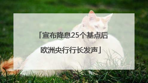 宣布降息25个基点后 欧洲央行行长发声