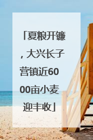夏粮开镰，大兴长子营镇近6000亩小麦迎丰收