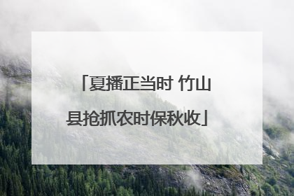 夏播正当时 竹山县抢抓农时保秋收
