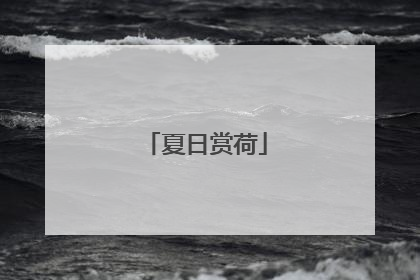 夏日赏荷