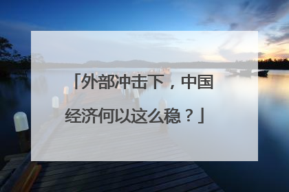 外部冲击下，中国经济何以这么稳？