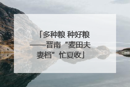 多种粮 种好粮——晋南“麦田夫妻档”忙夏收