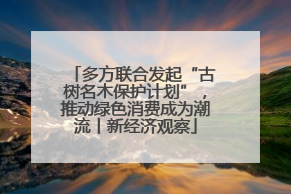 多方联合发起“古树名木保护计划”，推动绿色消费成为潮流丨新经济观察