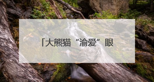 大熊猫“渝爱”眼周脱毛恢复良好！“渝贝”出现类似症状，重庆动物园回应