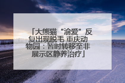 大熊猫“渝爱”反复出现脱毛 重庆动物园：暂时转移至非展示区静养治疗