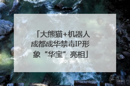 大熊猫+机器人 成都成华禁毒IP形象“华宝”亮相
