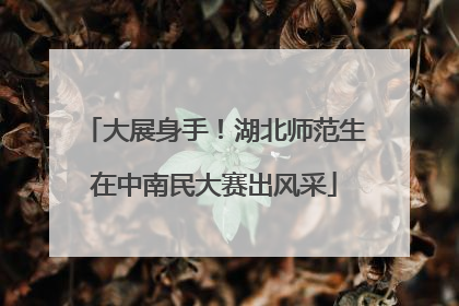 大展身手！湖北师范生在中南民大赛出风采