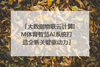 大数据物联云计算IM体育智慧AI系统打造全新关键驱动力