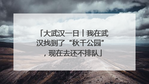 大武汉一日︱我在武汉找到了“秋千公园”，现在去还不排队