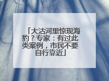 大沽河里惊现海豹？专家：有过此类案例，市民不要自行靠近