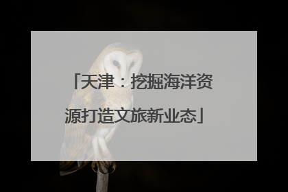 天津：挖掘海洋资源打造文旅新业态