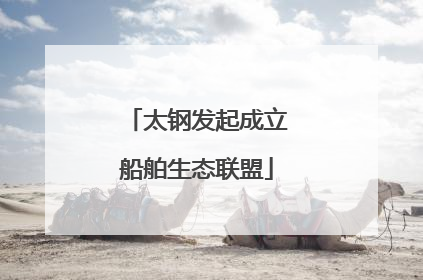太钢发起成立船舶生态联盟