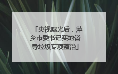 央视曝光后，萍乡市委书记实地督导垃圾专项整治