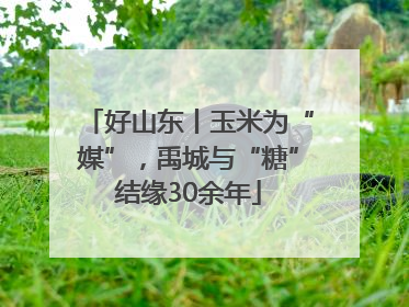 好山东丨玉米为“媒”，禹城与“糖”结缘30余年