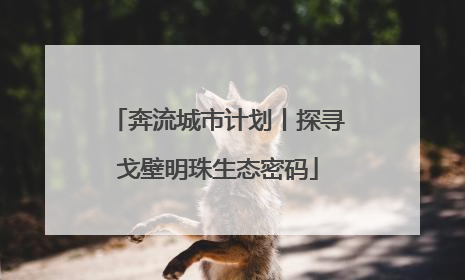奔流城市计划丨探寻戈壁明珠生态密码