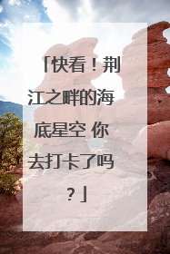 快看！荆江之畔的海底星空 你去打卡了吗？