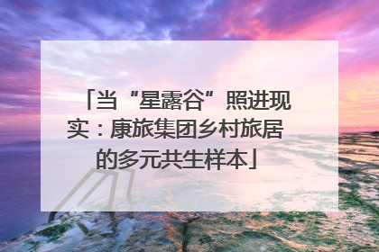 当“星露谷”照进现实：康旅集团乡村旅居的多元共生样本
