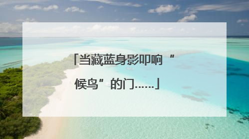 当藏蓝身影叩响“候鸟”的门……