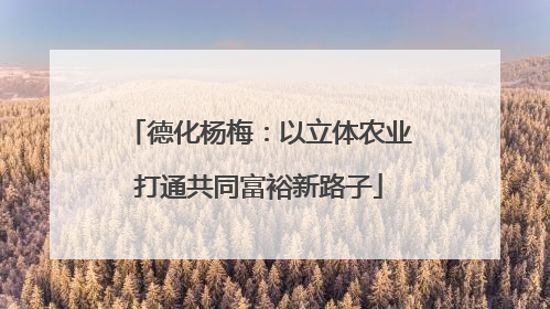 德化杨梅：以立体农业打通共同富裕新路子