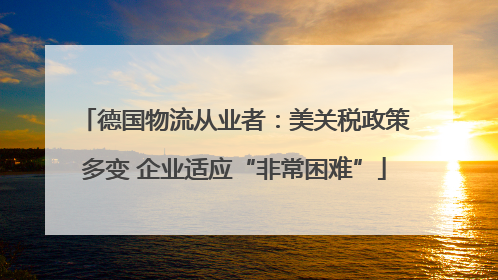 德国物流从业者：美关税政策多变 企业适应“非常困难”