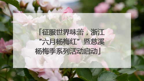 征服世界味蕾，浙江“六月杨梅红”暨慈溪杨梅季系列活动启动