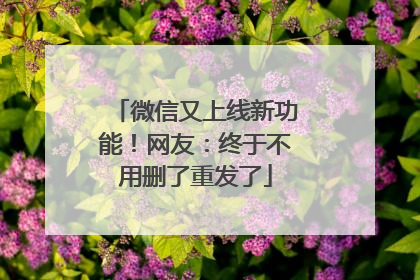 微信又上线新功能！网友：终于不用删了重发了