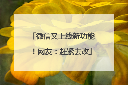 微信又上线新功能！网友：赶紧去改
