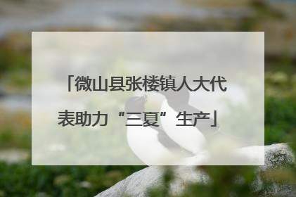 微山县张楼镇人大代表助力“三夏”生产