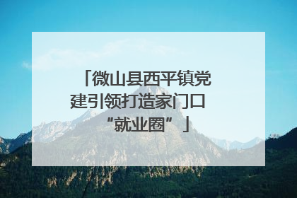 微山县西平镇党建引领打造家门口“就业圈”