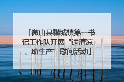 微山县驩城镇第一书记工作队开展“送清凉、助生产”慰问活动