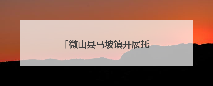 微山县马坡镇开展托育服务集中宣传活动