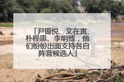 尹锡悦、文在寅、朴槿惠、李明博，他们纷纷出面支持各自阵营候选人
