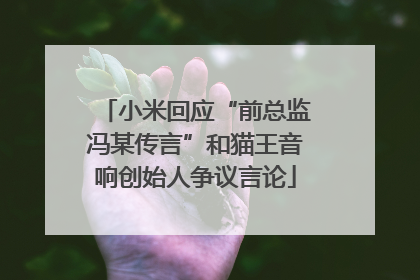 小米回应“前总监冯某传言”和猫王音响创始人争议言论