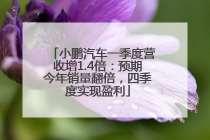 小鹏汽车一季度营收增1.4倍：预期今年销量翻倍，四季度实现盈利