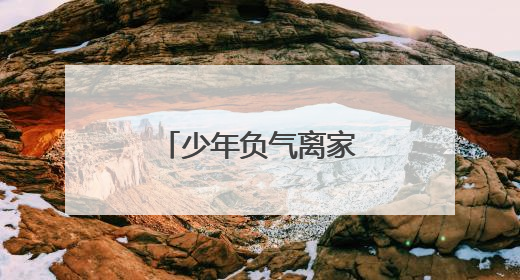 少年负气离家出走，网格深夜接力助归家