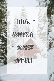 山东“花样经济”焕发蓬勃生机