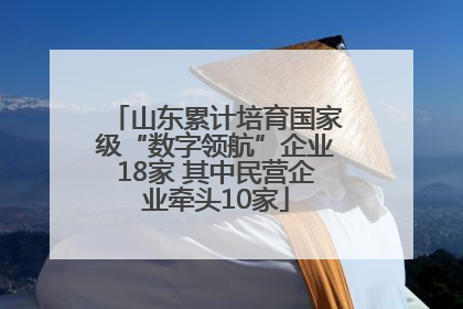 山东累计培育国家级“数字领航”企业18家 其中民营企业牵头10家