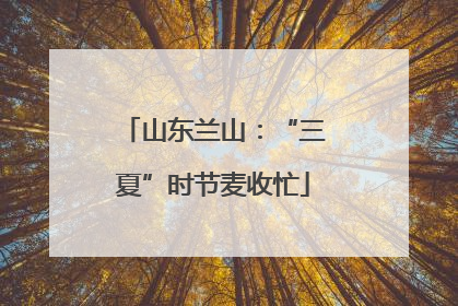 山东兰山：“三夏”时节麦收忙